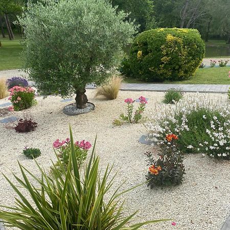 Bed and Breakfast Les Pins Perdus Saint-Ciers-d'Abzac Exterior foto