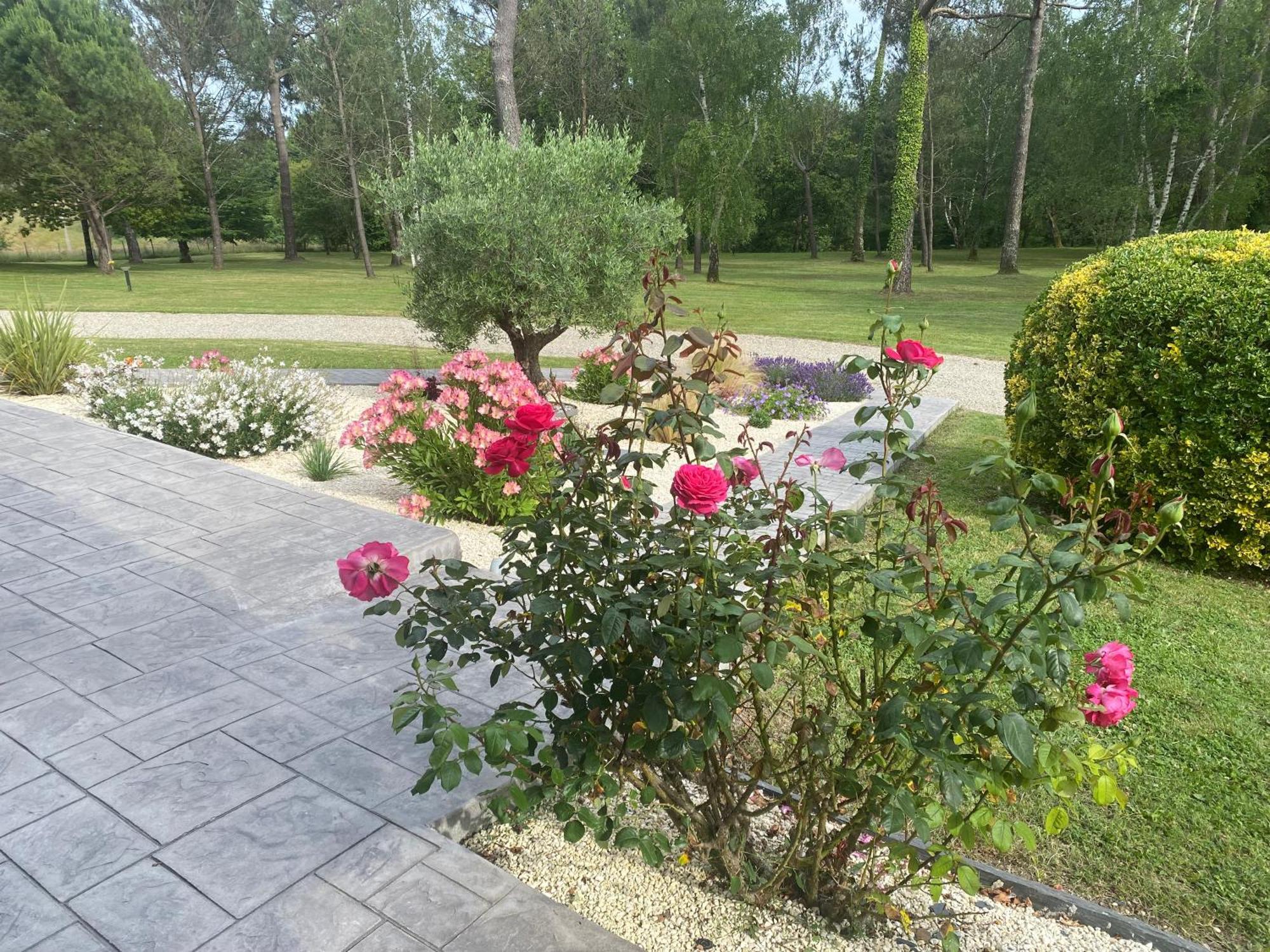 Bed and Breakfast Les Pins Perdus Saint-Ciers-d'Abzac Exterior foto